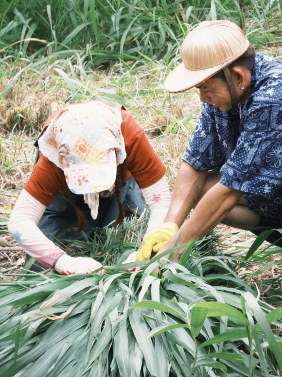Sao Việt 18/8, tin sao việt mới nhất