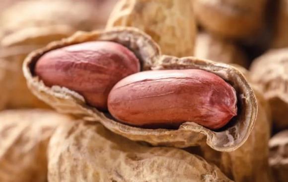 lạc kị thực phẩm nào, những món không ăn cùng lạc