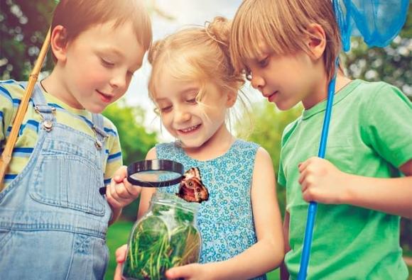 IQ, khả năng ngôn ngữ, giao tiếp, Khả năng ghi nhớ tốt, Đứa trẻ thông minh 