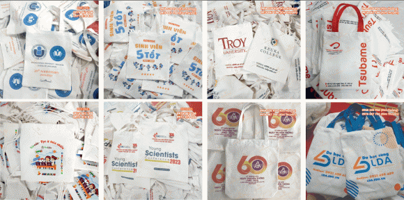 Túi Canvas, In Logo