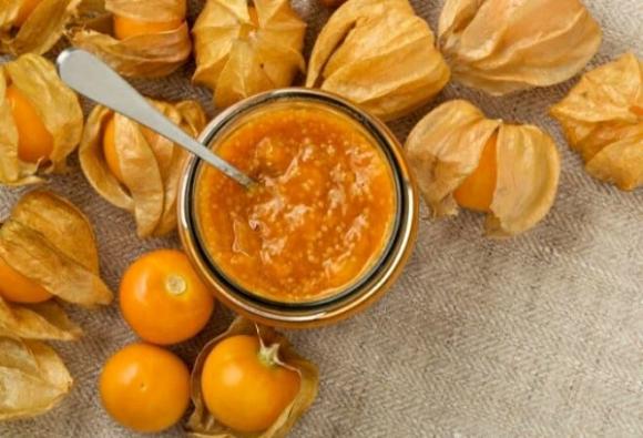Quả tầm bóp, tác dụng quả tầm bóp