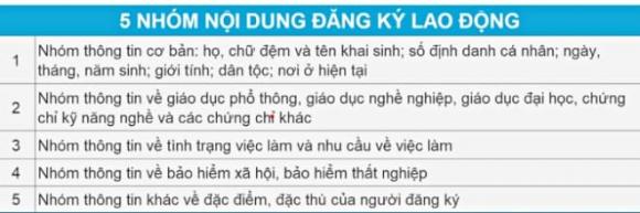 doanh nghiệp, bảo hiểm thất nghiệp, đăng ký thông tin người lao động, luật việc làm sửa đổi, Luật Việc làm năm 2025