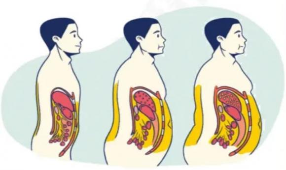 bài tập giảm mỡ bụng, động tác giảm mỡ bụng