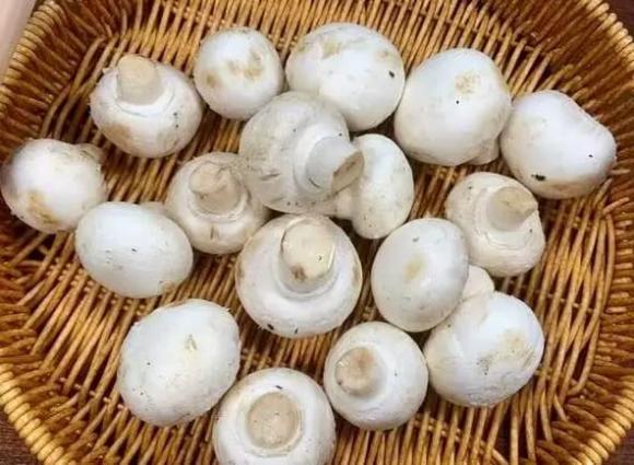 Hàm lượng kali cao, nấm