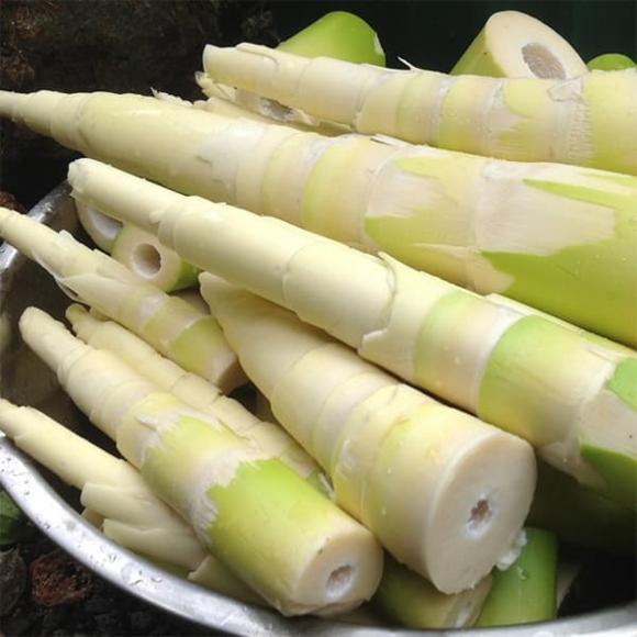 thực phẩm chứa chất độc tự nhiên, cà chua xanh, măng tươi, sức khỏe
