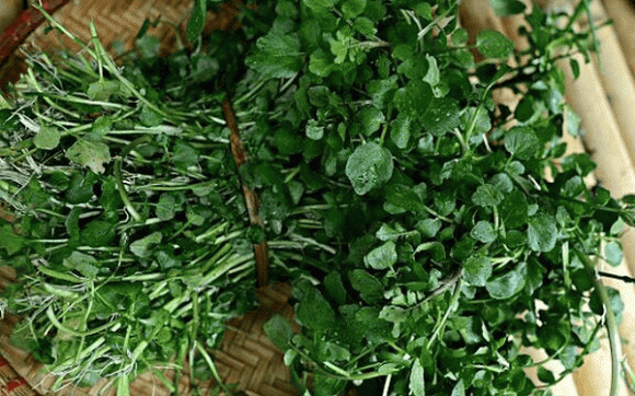 rau cải xoong, rau tốt nhất, rau tốt nhất thế giới