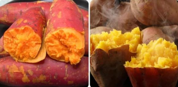  khoai lang, ai không ăn khoai lang, sức khỏe