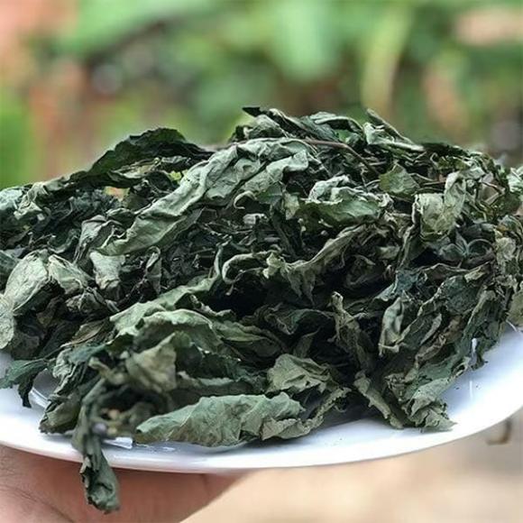 Sâm ngọc linh, lá sâm ngọc linh, loại lá đắt đỏ nhất thế giới