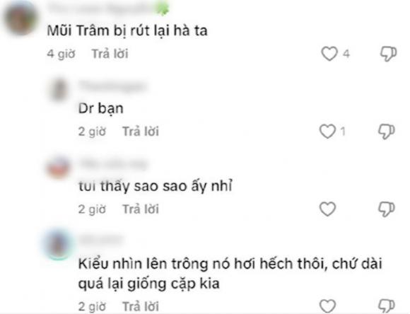 Thiều Bảo Trâm, sao Việt 