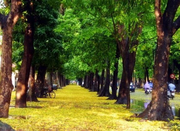  Quốc khánh 2/9 , du lịch hà nội, điểm check in đẹp tại Hà Nội