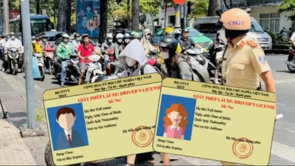 Giấy phép lái xe, bằng lái xe, cấp đổi Giấy phép lái xe
