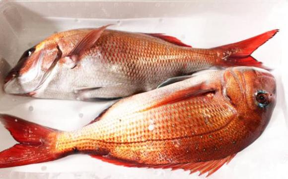 Cá ngậm thủy ngân, chăm sóc sức khỏe