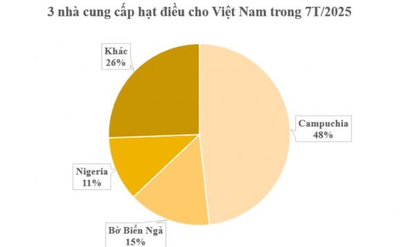 xuất khẩy, xuất khẩu điều, kiến thức 