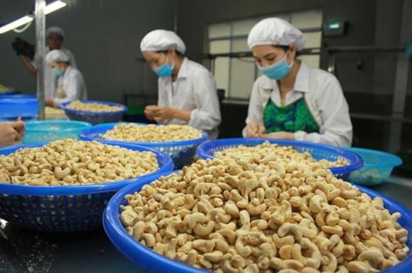 xuất khẩy, xuất khẩu điều, kiến thức 