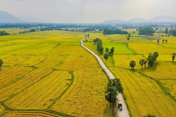 Luật đất đai, điều kiện chuyển đất nông nghiệp sang đất phi nông nghiệp