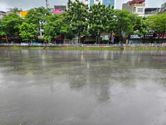 Tô Lịch, sông Tô Lịch sau mưa lớn, kiến thức
