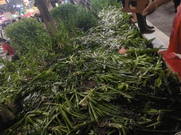 diễu binh, diễu hành, điều không làm khi xem diễu binh