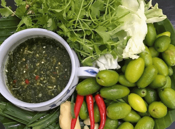 Quả nhót xanh, công dụng của quả nhót xanh