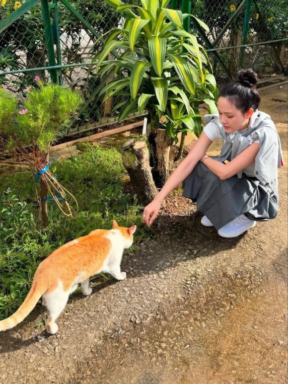 Sao Việt 29/8, tin sao việt mới nhất