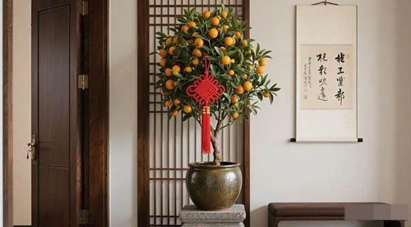 cây cảnh, cây phòng khách