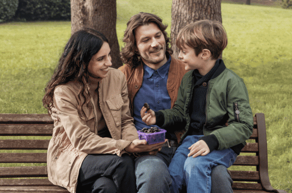 Mận khô California, Mận khô