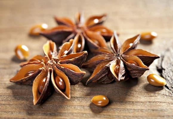 Hoa hồi, báu vật, ẩm thực, sức khoẻ