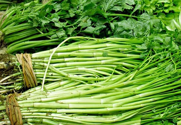 sán lá gan, rau dễ bị nhiễm sán lá gan, sức khoẻ