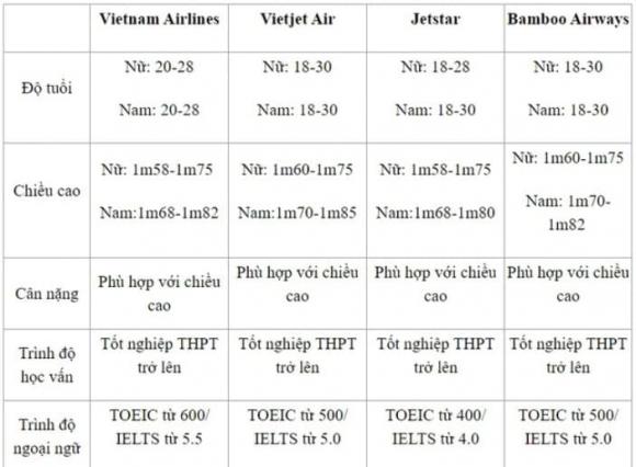 tiếp viên hàng không, nghề không cần học đại học, kiến thức