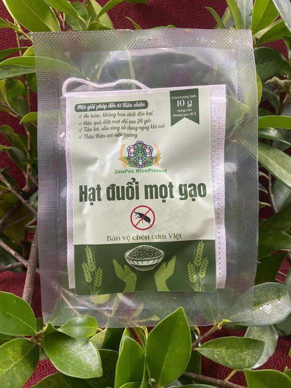 diệt mọt gạo, sinh viên Đại học Bách khoa TP.HCM