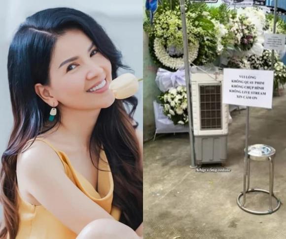 nghệ sĩ Ngọc Trinh, NSƯT Ngọc Trinh, sao Việt