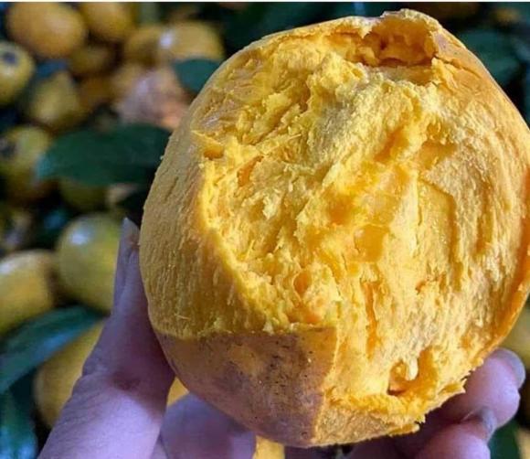 trứng gà, quả bơ, kiến thức