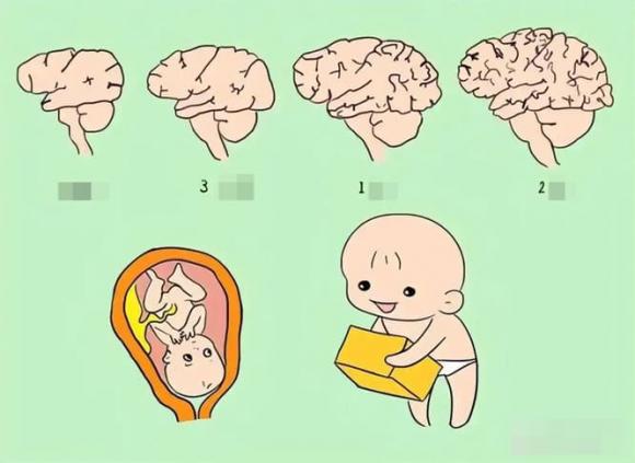 iq trẻ, trẻ thông minh