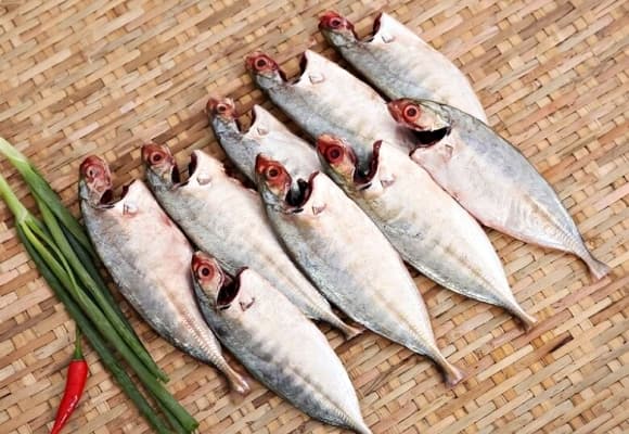 cá bạc má, loại cá giàu omega-3, DHA, sắt và canxi, loại cá tốt cho mẹ bầu