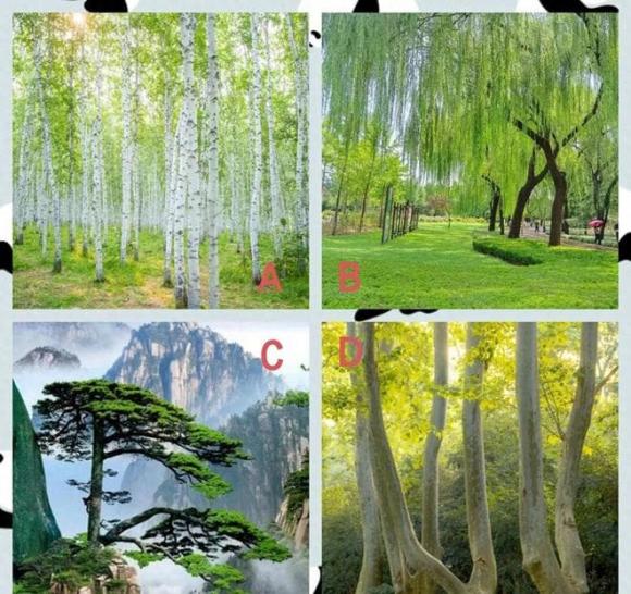 Trắc nghiệm tâm lý, quiz