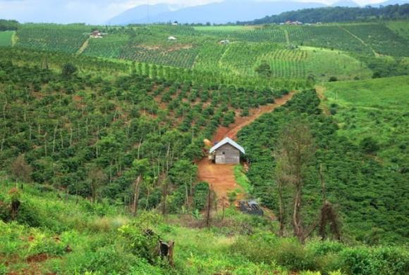 Luật đất đai, quy định sử dụng đất nông nghiệp