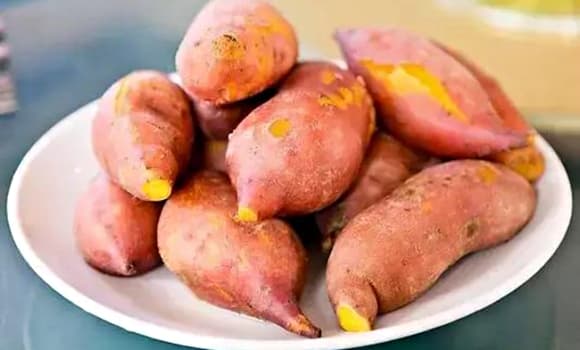 khoai lang
