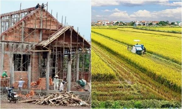 xây nhà trên đất nông nghiệp, Luật đất đai 2024