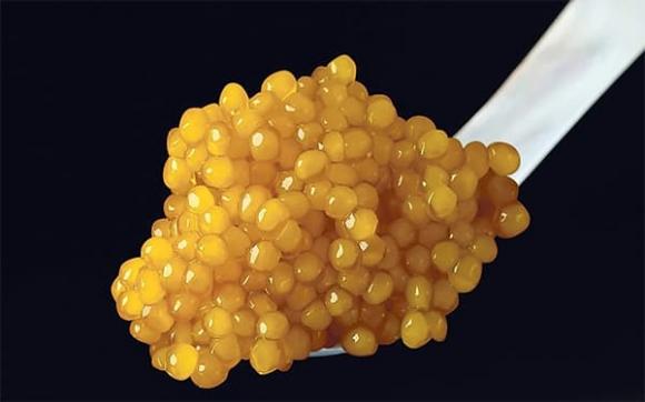 trứng cá tầm, trứng cá muối, đặc sản xa xỉ