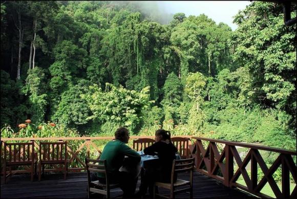 Hòn đảo duy nhất thế giới thuộc chủ quyền 3 quốc gia, Đảo Borneo