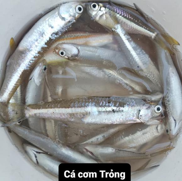 loài cá có canxi vượt mặt cá hồi, đặc sản