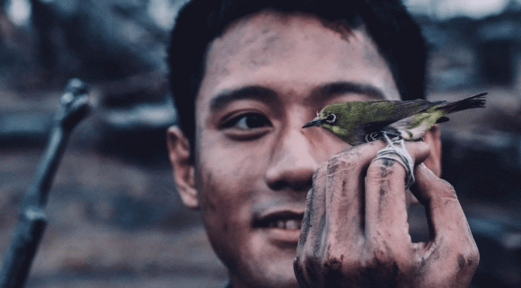 Mưa đỏ, sao Việt