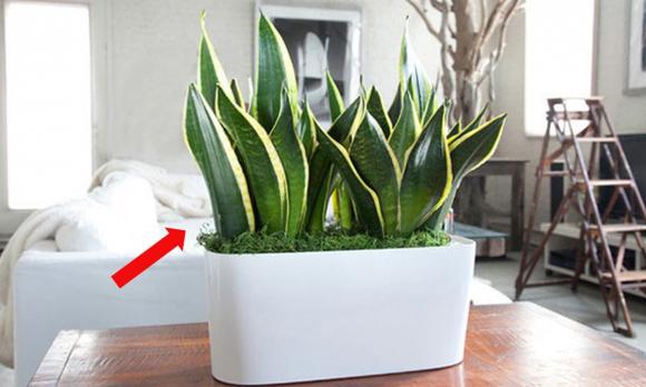 phích cắm, tiết kiệm điện, đồ điện