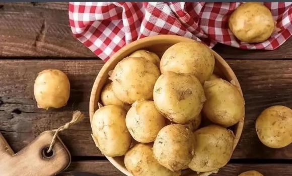 khoai tây, chọn mua khoai tây, khoai tây to, khoai tây nhỏ, mua khoai tây