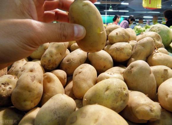 khoai tây, chọn mua khoai tây, khoai tây to, khoai tây nhỏ, mua khoai tây