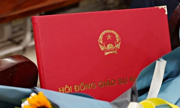 giáo sư, phó giáo sư, đại học, Đại học Quốc gia Hà Nội 