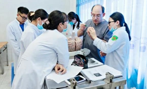 Bác sĩ nội trú, ngành y