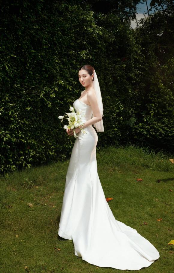 Hồ Quang Hiếu, Tuệ Như, sao Việt 