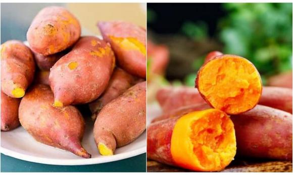 ưng thư, người ít khả năng mắc ung thư, sức khỏe,