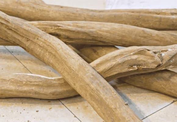 núi đá Lạng Sơn, báu vật, vương mộc, Gỗ hoàng đàn, Hoàng đàn Hữu Liên