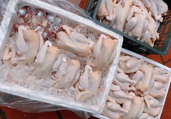 thịt gà, cách chọn thịt gà, kiến thức